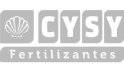 CYSY - Calcário de Conchas