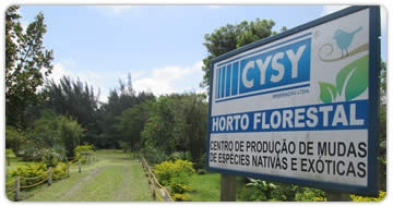 Horto Florestal